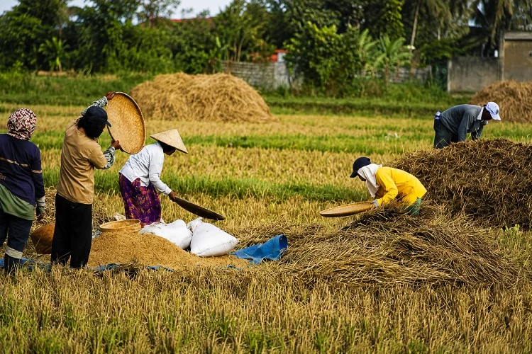 Gotong Royong dalam Kehidupan Sehari-hari