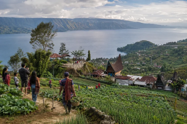 Perkembangan Huta Ginjang dari Desa Pertanian Jadi Desa Wisata